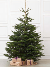 Smukt juletræ stort