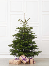 Juletræ i størrelsen 2.00-2.25 meter
