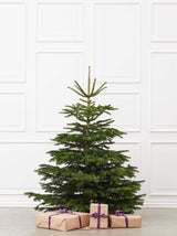 Juletræ i størrelsen 175-2.00 meter