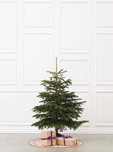Lille juletræ i størrelsen 150-175 cm