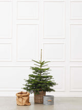 Juletræ i potte kurv