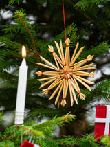 Pyntet rødgran - Peters jul