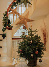 Juletræ i potte - M