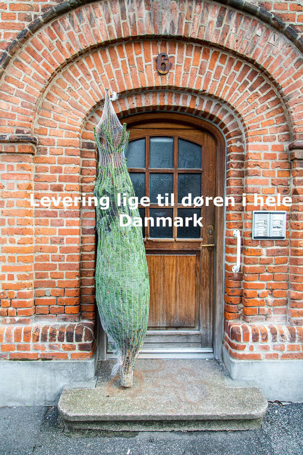Juletræ levering i hele Danmark