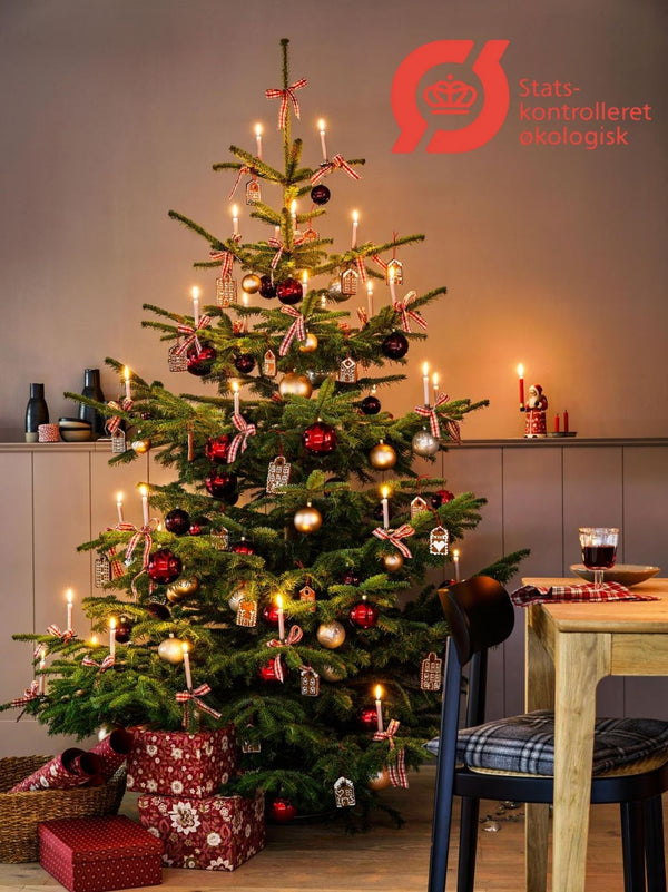 Økologisk juletræ