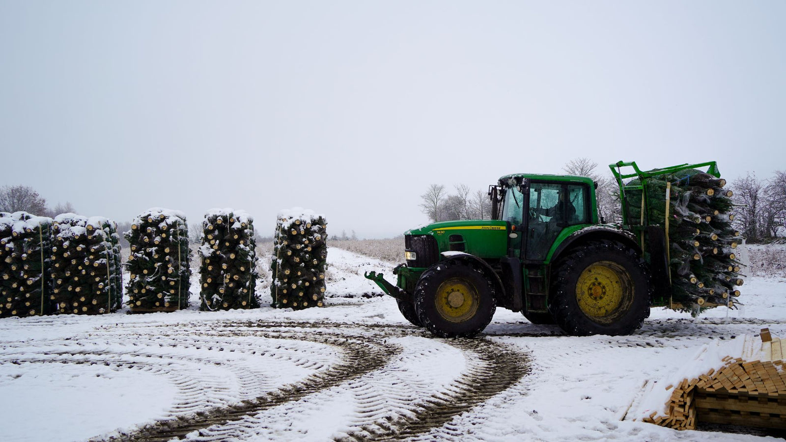 Traktor kører juletræer ind over den snedækkede mark i plantagen