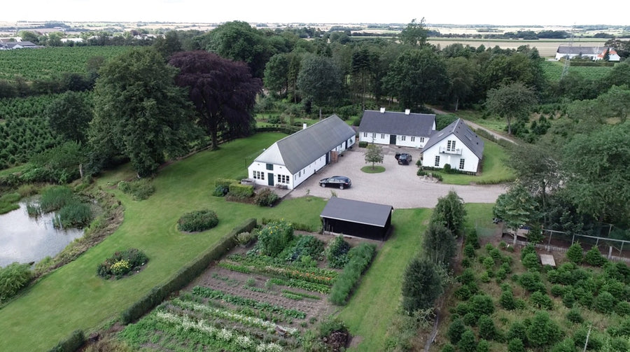 Luftfoto af St. Grue Plantage med hvide gårdbygninger, køkkenhave og juletræsmarker omkring