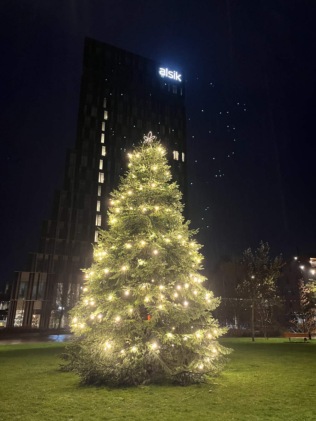 Stort udendørs juletræ med lyskæde ved Alsik i Sønderborg