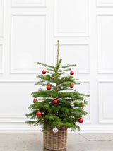 Pyntet juletræ i potte - Sølv & rød