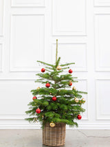 Pyntet juletræ i potte - Guld & rød
