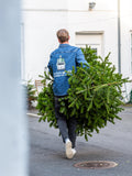 Afhentning af 1 stk. juletræ (uge 1)