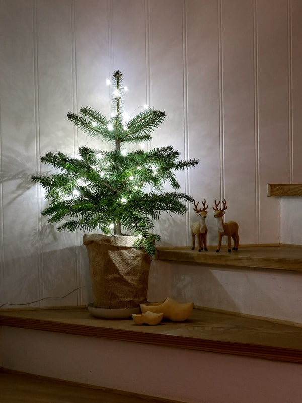 mini juletræ i potte med lys